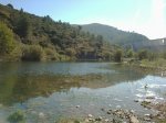 Foto0304.jpg