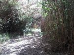 Foto0306.jpg