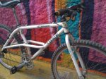 alpinestarscostat2.JPG