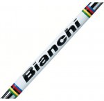 bianchi_pista_stripe1.jpg