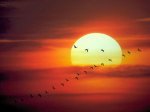 Puesta-Sol.jpg