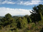 2012-04-26 10.26.25.jpg
