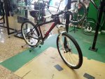 2012-04-26 19.54.10.jpg