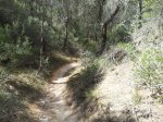 resized_20120421_130735.jpg