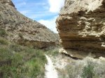 resized_camino.jpg