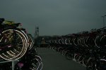 IMG_5581.JPG