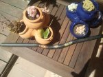 2012-04-24 15.38.49.jpg
