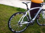 Chinarello 002.jpg