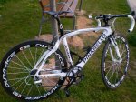 Chinarello 008.jpg