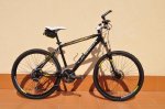 orbea%202[1].JPG