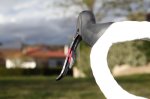 Cervelo 56.JPG