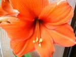 2012-04-27 12.27.23.jpg