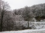 Imagen 053 (Medium).jpg