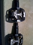 IMG-20120423-00730.jpg