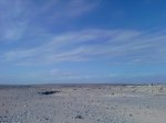 P210412_16.54_[01].jpg
