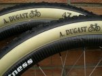 AX+DUGAST1.jpg