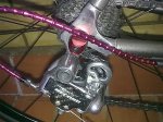 280420123985.jpg