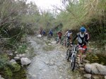 DSC02598.JPG