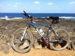 specialized.jpg