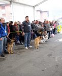 2012-05-06_IMG_2012-04-29_02.29.38__8409139.jpg