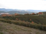 IMG_3375.JPG