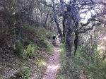 IMG_1929.jpg