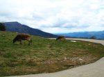 DSC04162.JPG