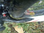 DSC00025-1.jpg