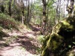 Foto0370.jpg