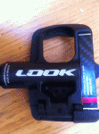 Scaled Image 1.gif