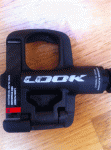 Scaled Image 2.gif