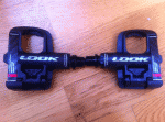 Scaled Image.gif