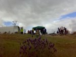 29042012856_1024x768.jpg