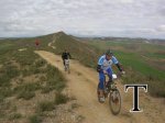 DSCN9728_595_watermark-text.jpg