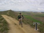 DSCN9741_595_watermark-text.jpg
