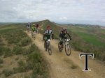 DSCN9815_595_watermark-text.jpg