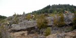 Panorama 2 wb.jpg