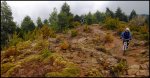 Panorama 3 wb.jpg