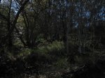 IMG_2652.JPG
