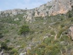SDC11200.JPG