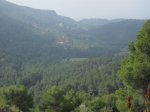 SDC11202.JPG