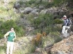 SDC11203.JPG