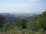 SDC11220.JPG