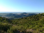 DSC_0028.JPG