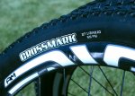 650b_Maxxis.jpg