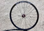650b_Reynolds.jpg