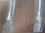 2012-04-30 11.00.24.jpg