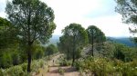 DSCN4683.jpg