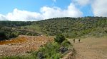 DSCN4720.jpg