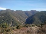 IMG_0835.JPG